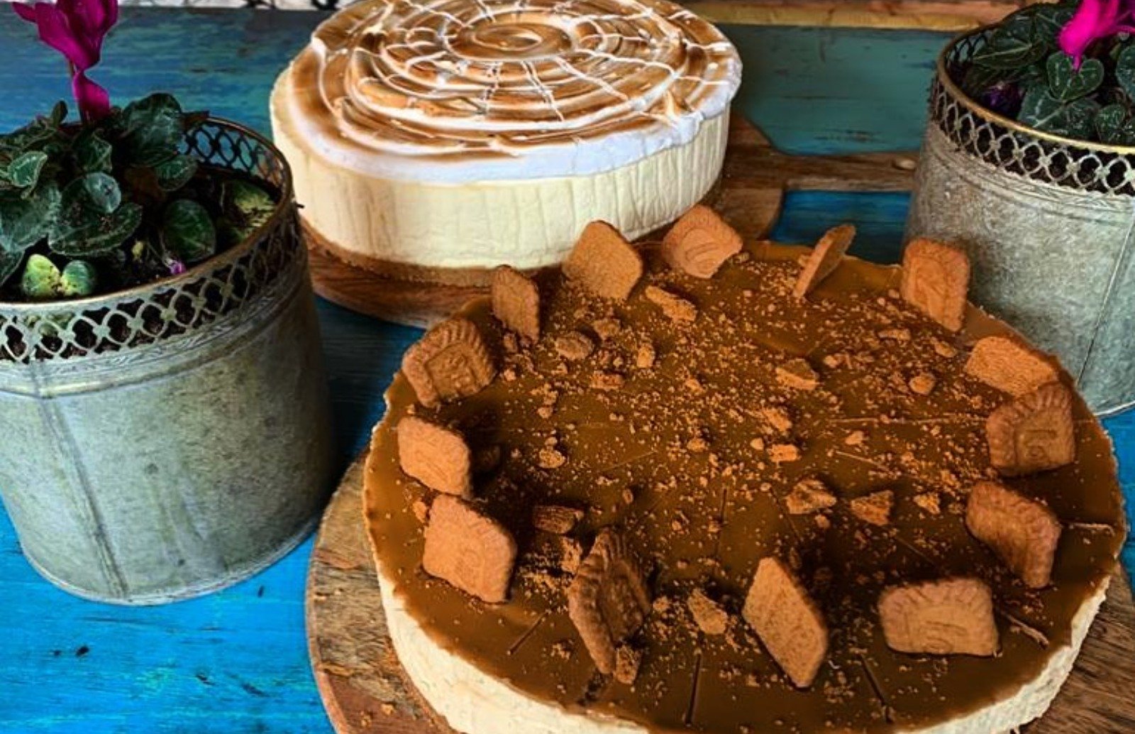 The Garden Shed Cafe, Wellesbourne Blue table with a plant in a pot, next to two whole cheesecakes